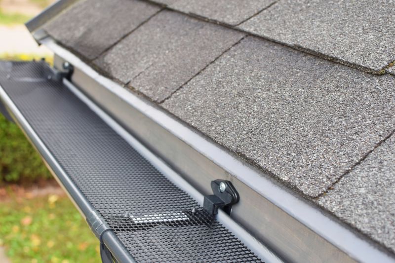 Gutter Cover with Roofline